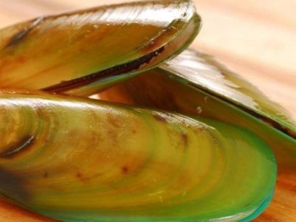 Školjke, ki jim pravijo tudi čudež morja